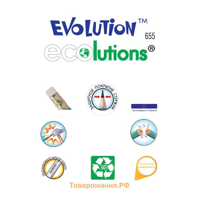 Карандаш чернографитный (простой) НВ, BIC Evolution, заточенный, пластиковый, c ластиком, шестигранный, зеленый корпус