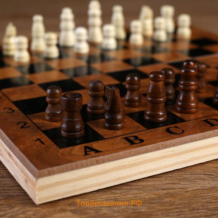 Шахматы нарды шашки «Цейтнот», 3 в 1, классические, 24×24 см
