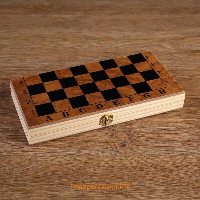 Шахматы нарды шашки «Цейтнот», 3 в 1, классические, 24×24 см