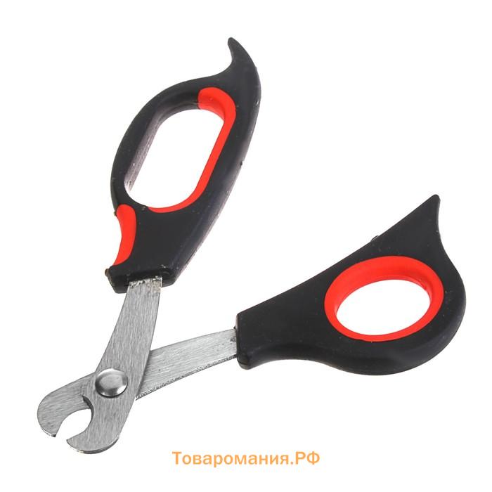 Ножницы-когтерезы средние с упором для пальца, 12 х 4,5 х 1,4 см, эконом, микс цветов
