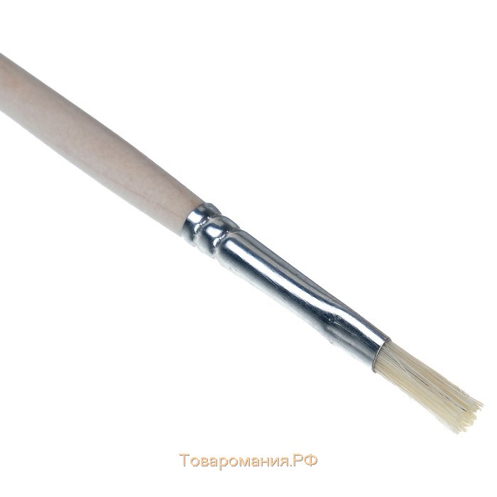 Кисть Щетина плоская № 4 (ширина обоймы 4 мм; длина волоса 12 мм), деревянная ручка, Calligrata