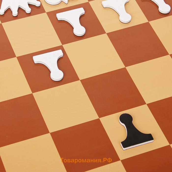 Шахматы демонстрационные, магнитные, 73×73 см