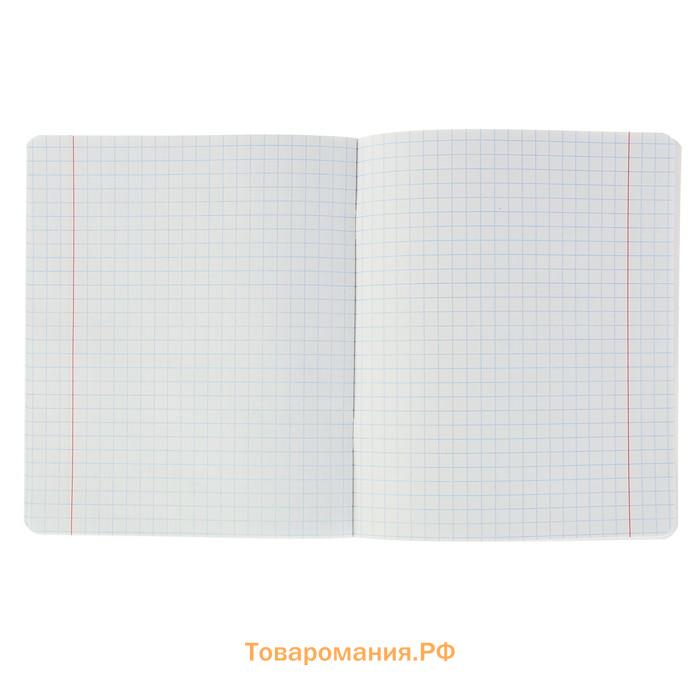 Тетрадь 12 листов в крупную клетку ErichKrause «Классика», обложка мелованный картон, МИКС
