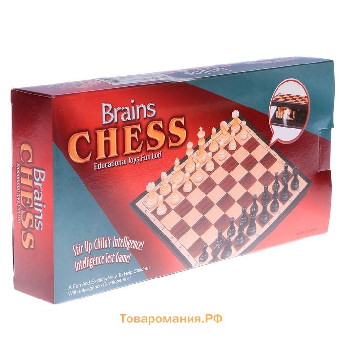 Магнитные шахматы «Шахматы» из пластика, компктные 24×24 см