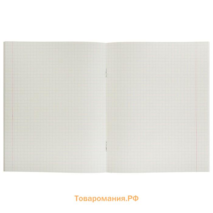 Тетрадь 48 листов в клетку Calligrata «Океан», обложка мелованная бумага, блок №2, белизна 75% (серые листы), МИКС