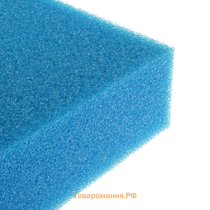 Губка прямоугольная, крупнопористая, лист 50 х 50 х 10 см, синий