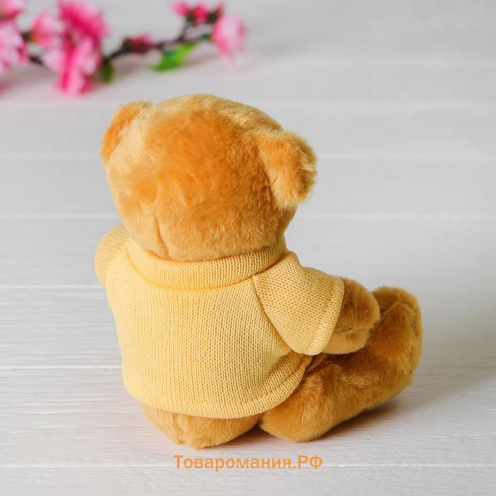 Мягкая игрушка «Медведь», в кофте, МИКС