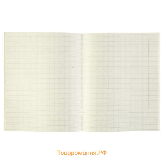 Тетрадь предметная 48 листов в клетку Calligrata, «Чёрное-белое. Физика», обложка мелованная бумага, серые листы