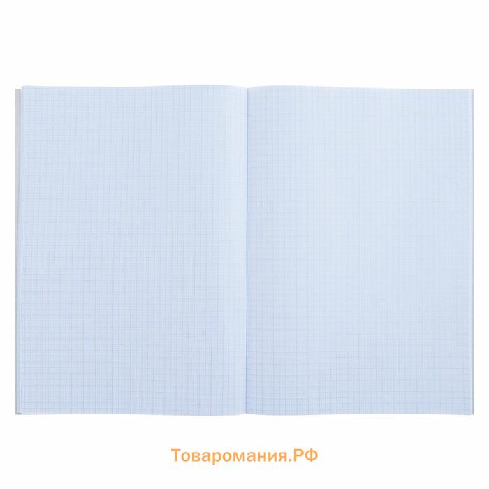 Тетрадь А4, 96 листов в клетку Calligrata «Фламинго 2», обложка мелованный картон, блок офсет