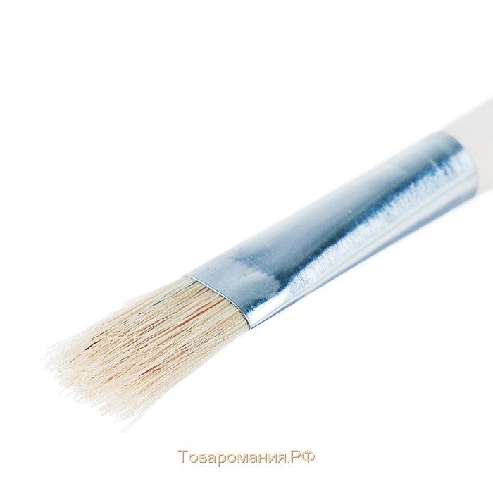 Кисть Щетина плоская №20 (ширина обоймы 20 мм; длина волоса 28 мм), деревянная ручка, Calligrata