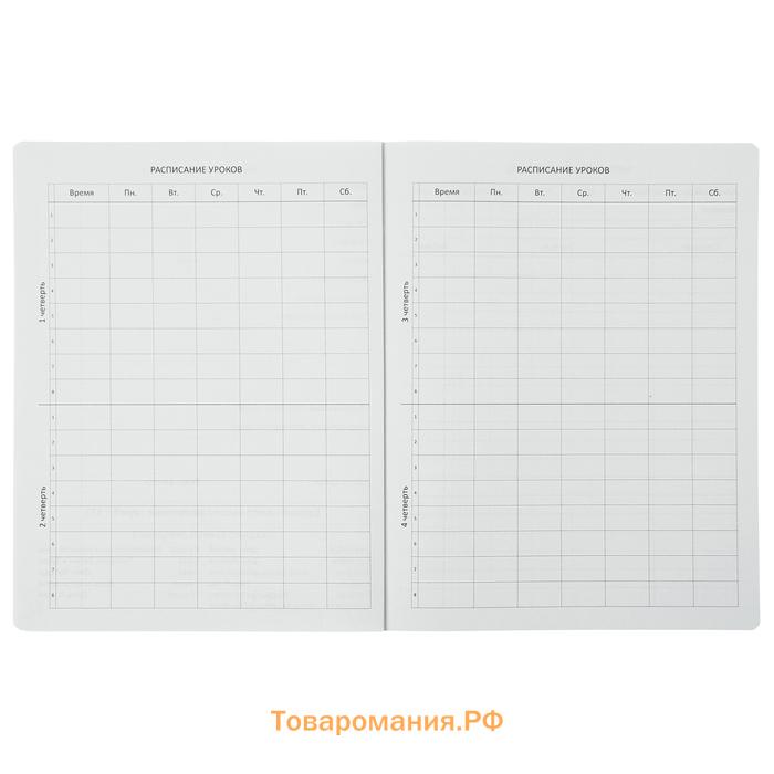 Дневник универсальный для 1-11 класса Croco Feel Inspired, твёрдая обложка, искусственная кожа, тиснение фольгой, ляссе, 48 листов