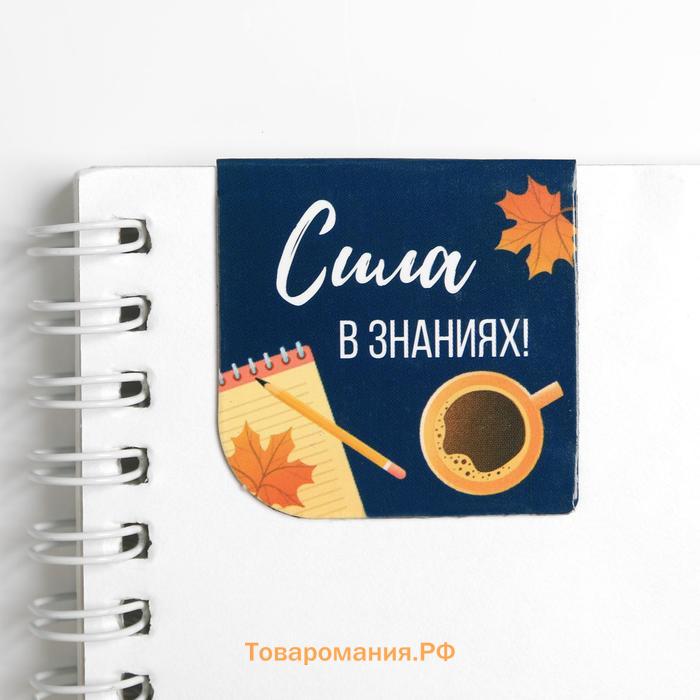 Магнитные закладки для книг в открытке «С днем учителя», 4 шт.