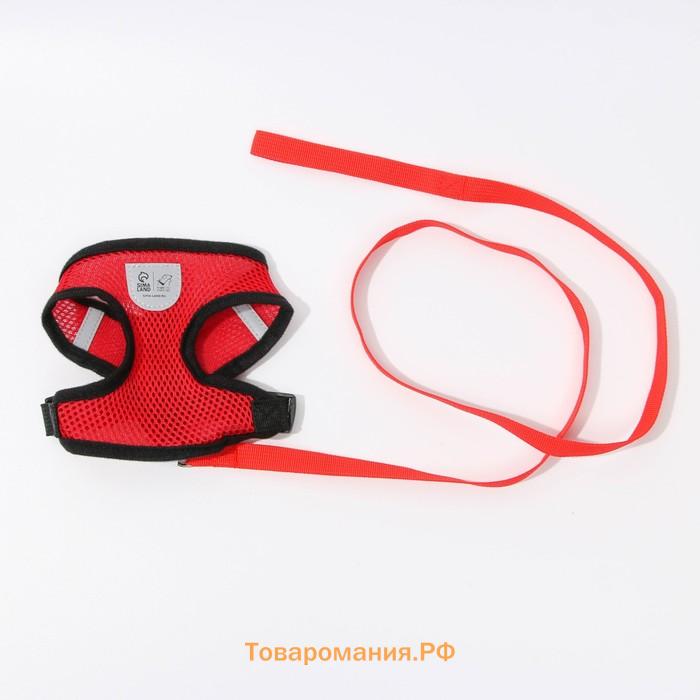 Шлейка дышащая с поводком и светоотражающей нашивкой, S, ОШ 27, ОГ 30-38,красная