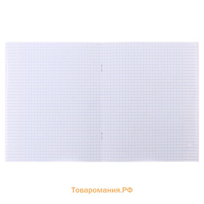 Комплект тетрадей из 5 штук, 48 листов в клетку Calligrata "Лама", обложка мелованный картон, блок офсет