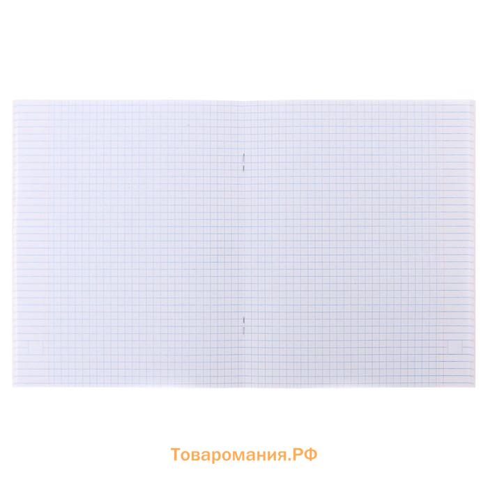 Комплект тетрадей из 5 штук, 48 листов в клетку Calligrata "Лапки", обложка мелованный картон, блок офсет