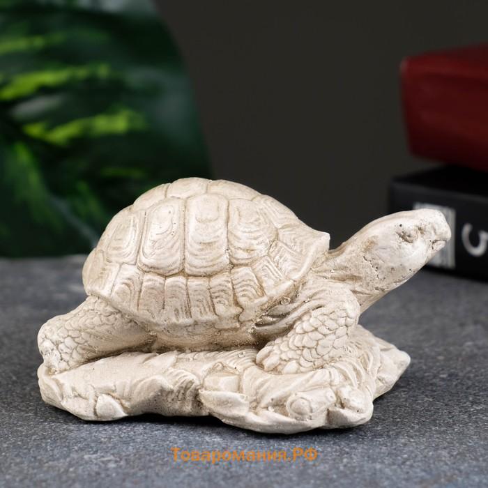 Фигурка «Черепаха на камне», слоновая кость, 8×7×6 см