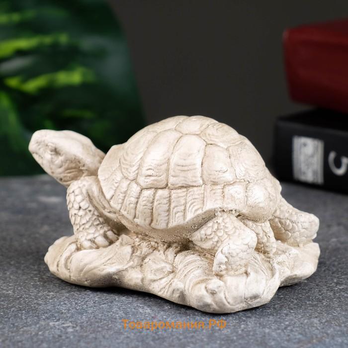 Фигурка «Черепаха на камне», слоновая кость, 8×7×6 см