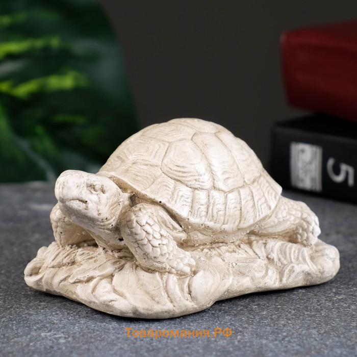 Фигурка «Черепаха на камне», слоновая кость, 8×7×6 см