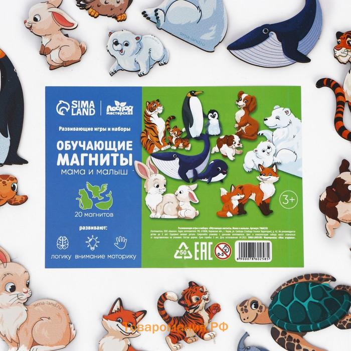 Обучающие магниты «Мама и малыш», 20 магнитов