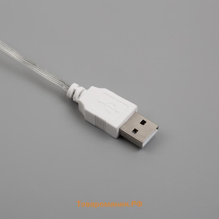 Гирлянда «Нить» 3 м с насадками «Ёжики», IP20, прозрачная нить, 20 LED, свечение мульти (RG/RB), мигание, USB