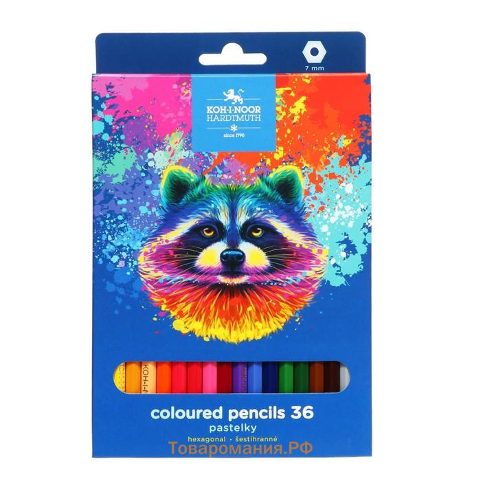 Карандаши Jumbo 36 цветов K-I-N 3145 Triocolor bear, утолщенные, шестигранные, картонная упаковка