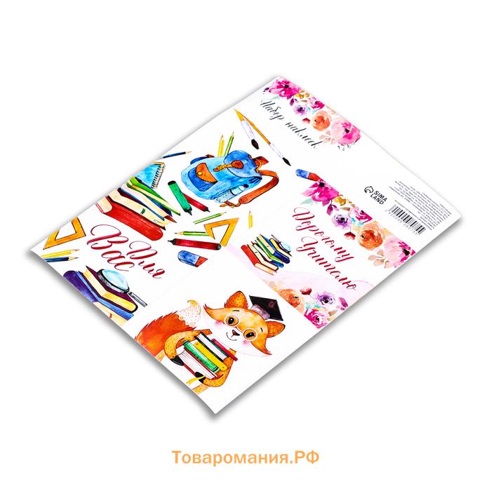 Наклейки для цветов и подарков «Любимому учителю», 15×11.5 см
