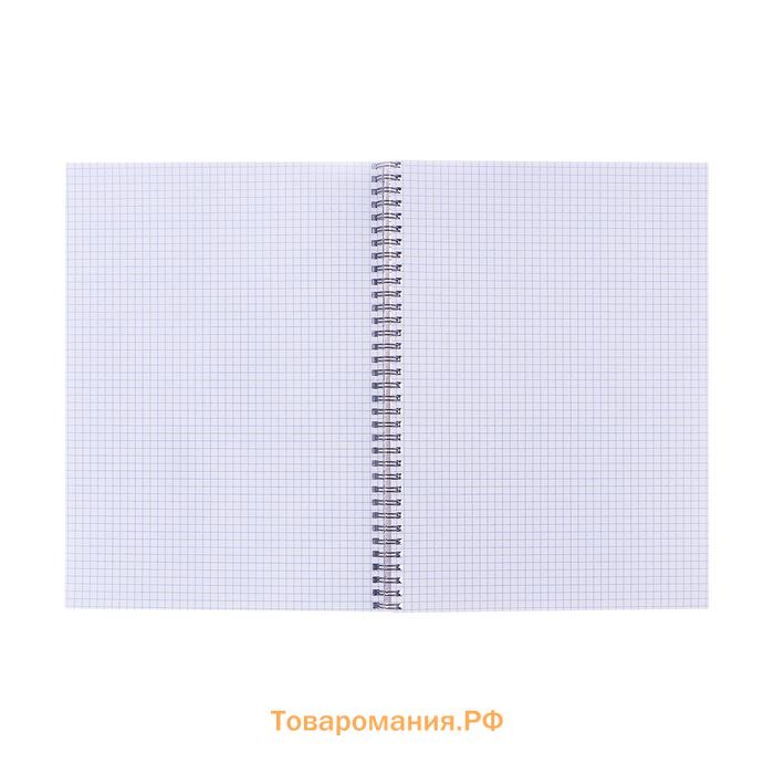 Тетрадь А4, 80 листов в клетку на гребне Calligrata «Офисная», с полосой, обложка мелованный картон, твин-лак, блок офсет