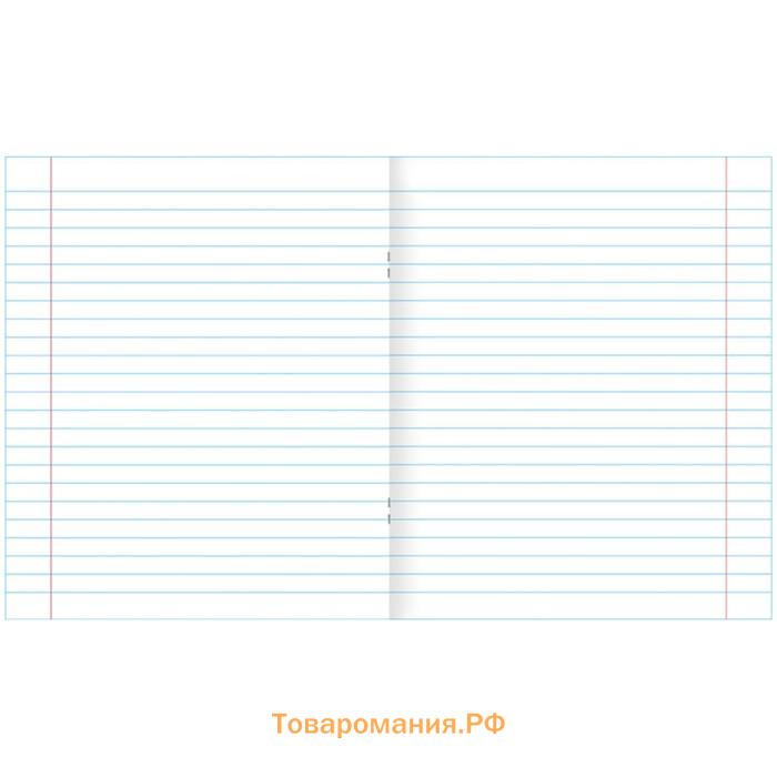Тетрадь 12 листов в линейку «Зеленая обложка» обложка 60 г/м², белые листы