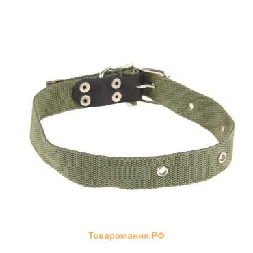 Ошейник брезентовый однослойный, 66 х 3 см, ОШ 33-60 см, тёмно-зелёный