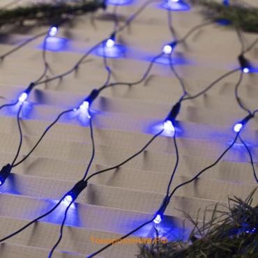 Гирлянда «Сеть» 1.6 × 1.6 м, IP20, тёмная нить, 144 LED, 8 режимов, 220 В, свечение синее