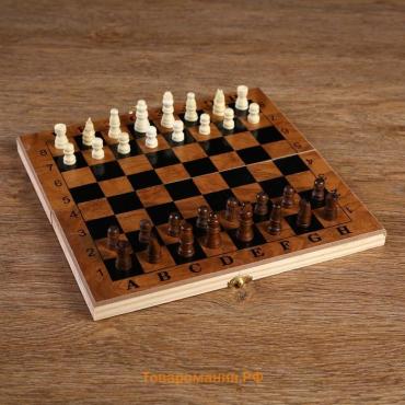 Шахматы нарды шашки «Цейтнот», 3 в 1, классические, 24×24 см