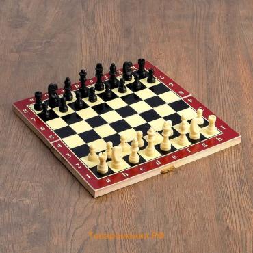 Шахматы, шашки, нарды, настольные игры, набор 3 в 1, 29 х 29 см