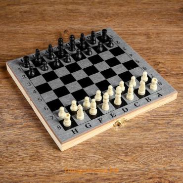 Шахматы нарды шашки «Шелест», 3 в 1, классические, 24×24 см