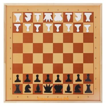 Шахматы демонстрационные, магнитные, 73×73 см