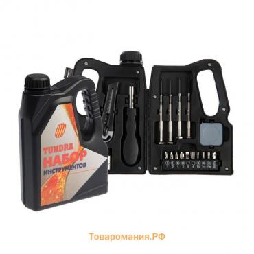 Набор инструментов ТУНДРА, подарочный пластиковый кейс «Канистра», 21 предмет