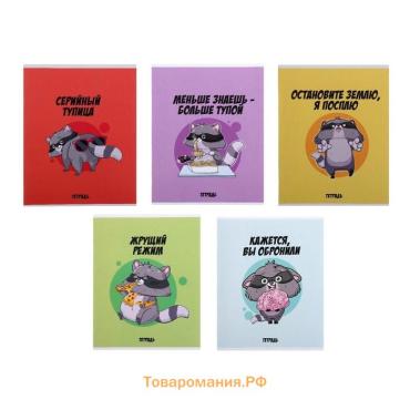 Комплект тетрадей из 5 штук, 48 листов в клетку Calligrata "Дерзкий енот", обложка мелованный картон, блок офсет