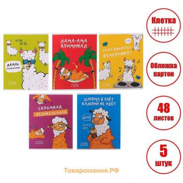 Комплект тетрадей из 5 штук, 48 листов в клетку Calligrata "Лама", обложка мелованный картон, блок офсет