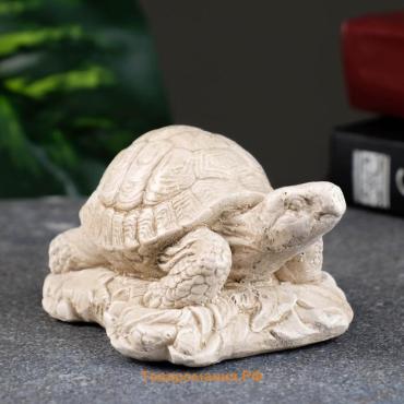 Фигурка «Черепаха на камне», слоновая кость, 8×7×6 см