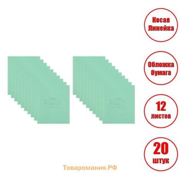 Набор тетрадей 12 листов в косую линейку «Зелёная обложка», белизна 75%, серые листы, 20 шт.