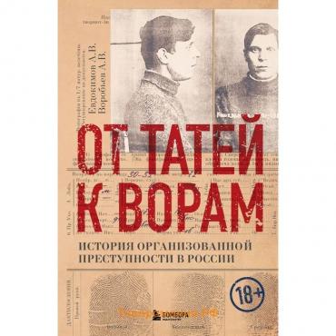 От татей к ворам. История организованной преступности в России. Евдокимов А.В., Воробьёв А.В.