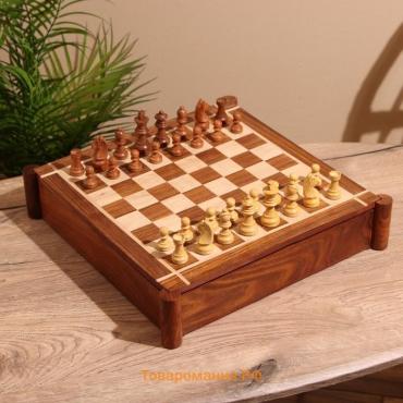 Игра настольная 3 в1, шахматы, домино, кубики, доска 35×35 см, дерево шишам