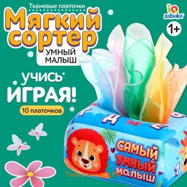 Сортер «Самый умный малыш»